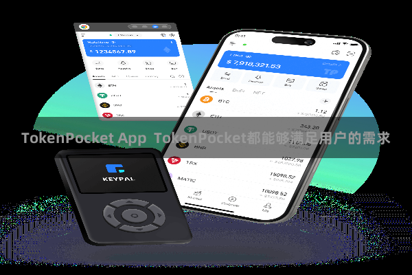 TokenPocket App  TokenPocket都能够满足用户的需求
