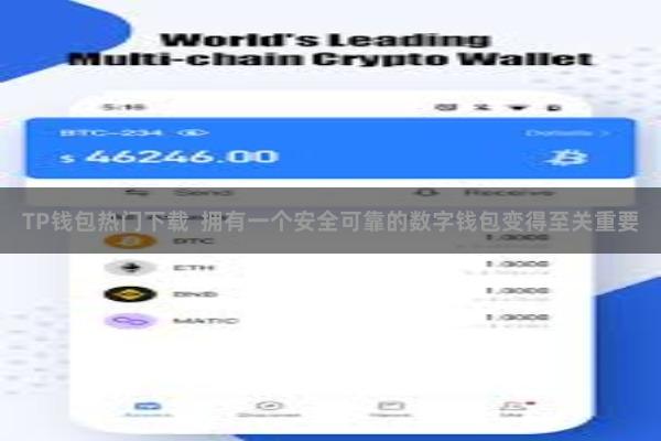 TP钱包热门下载  拥有一个安全可靠的数字钱包变得至关重要